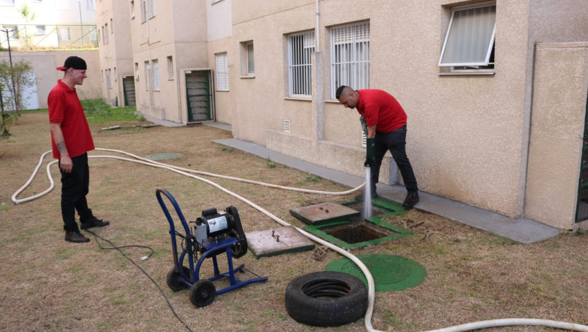 Dedetização sem Cheiro